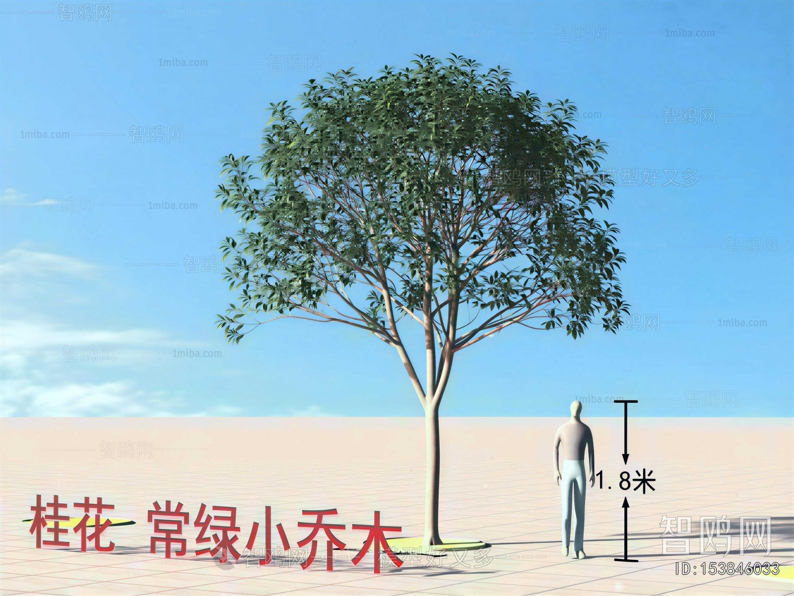 Modern Tree