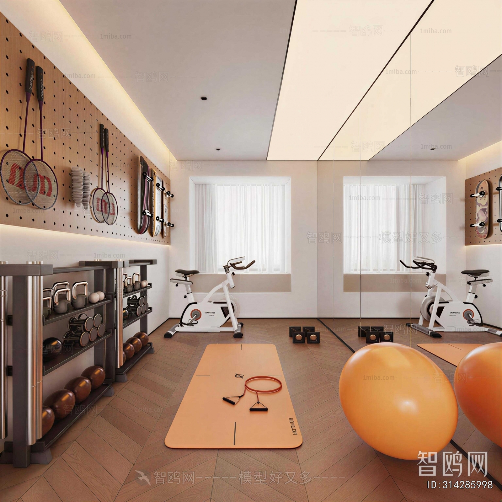 Modern Home Fitness Room