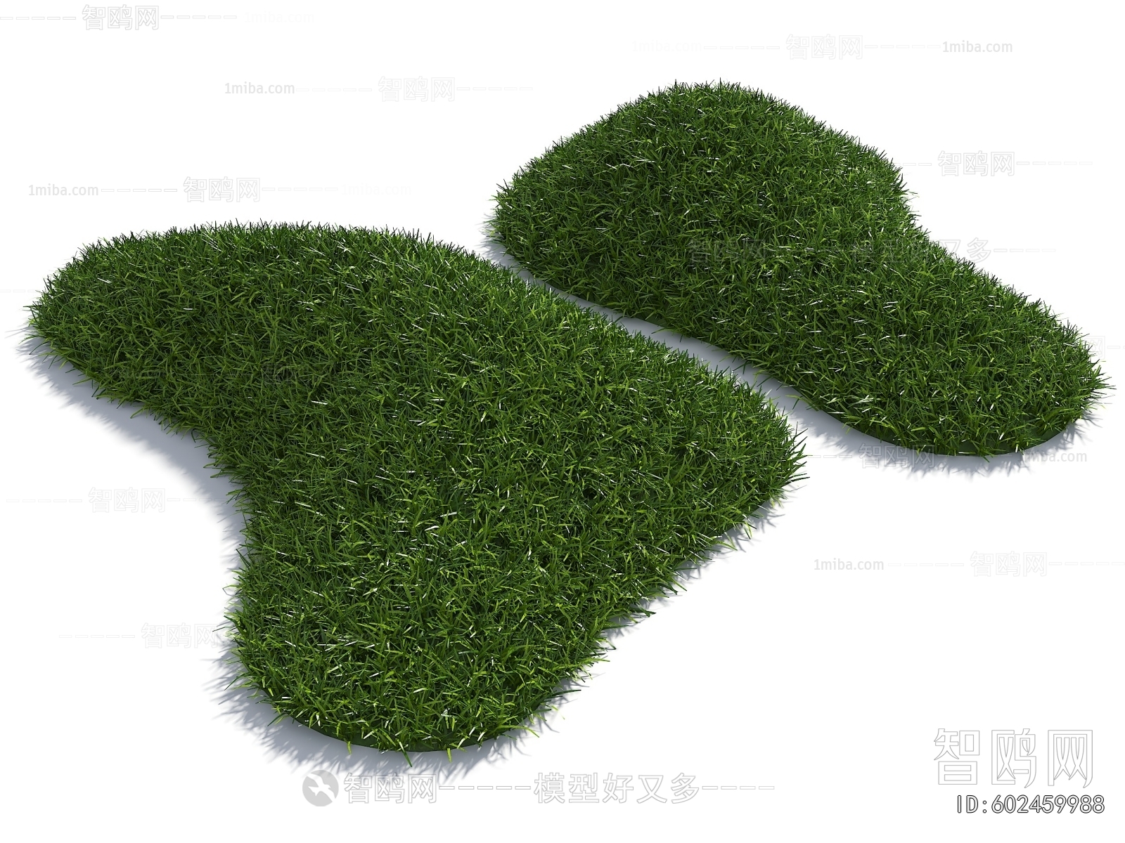 Modern Plant Landscaping