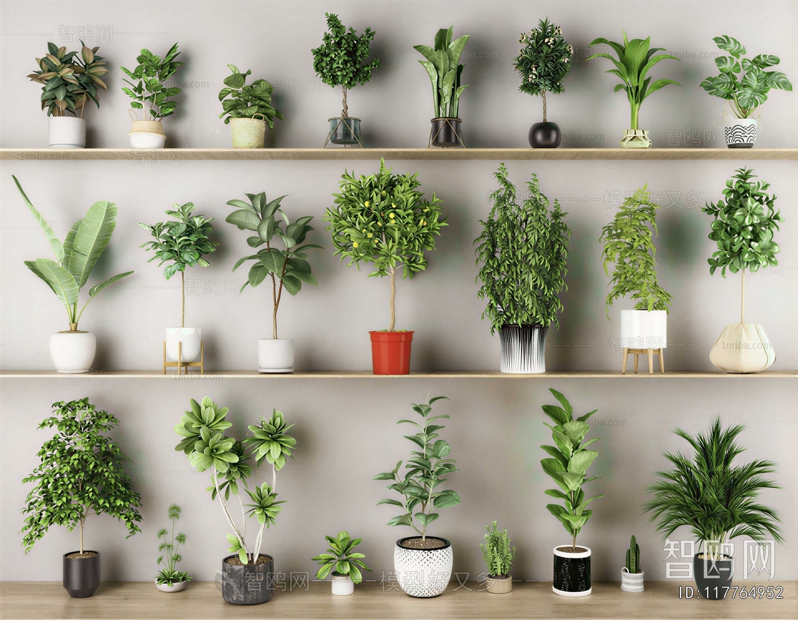 Modern Ground Green Plant Potted Plants