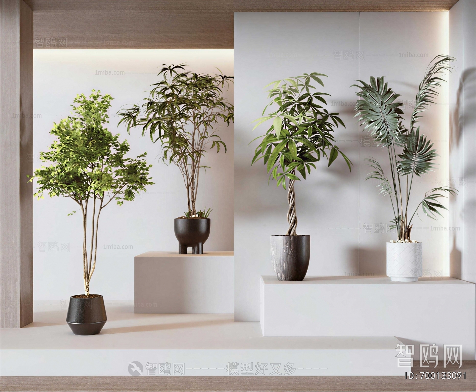 Modern Ground Green Plant Potted Plants