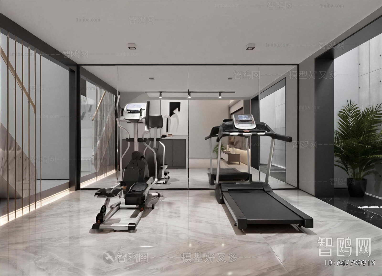 Modern Home Fitness Room
