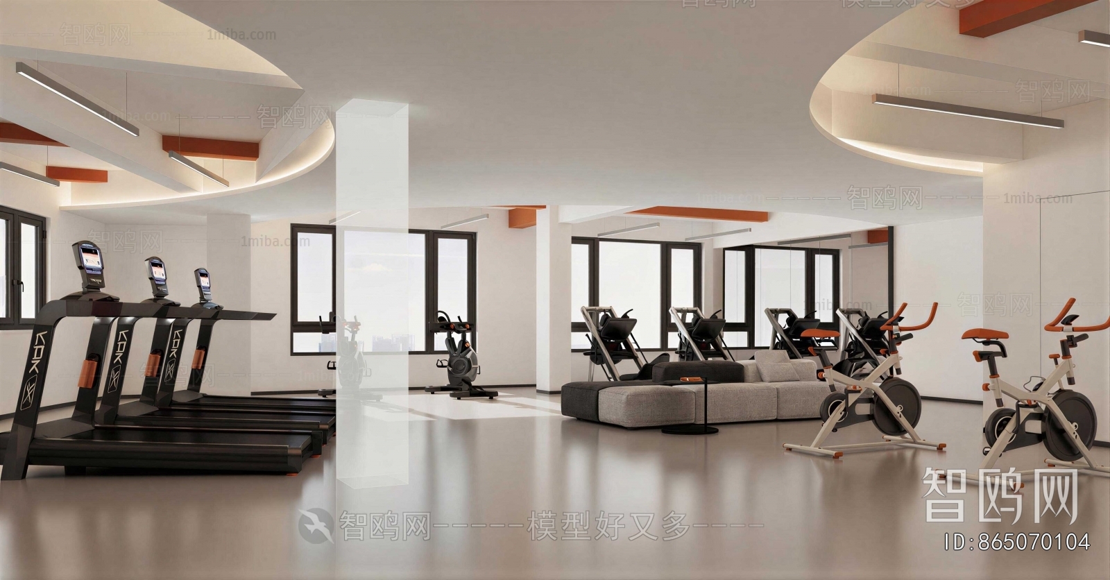 Modern Gym