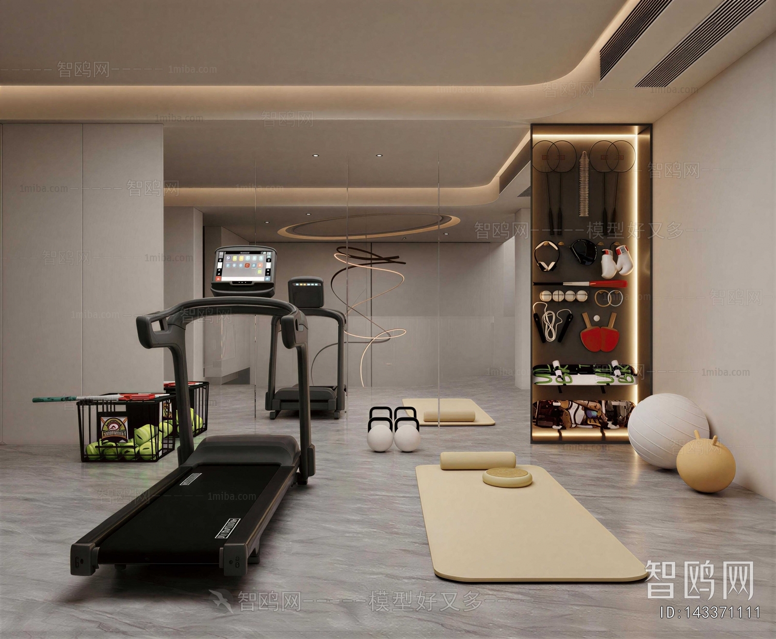 Modern Home Fitness Room
