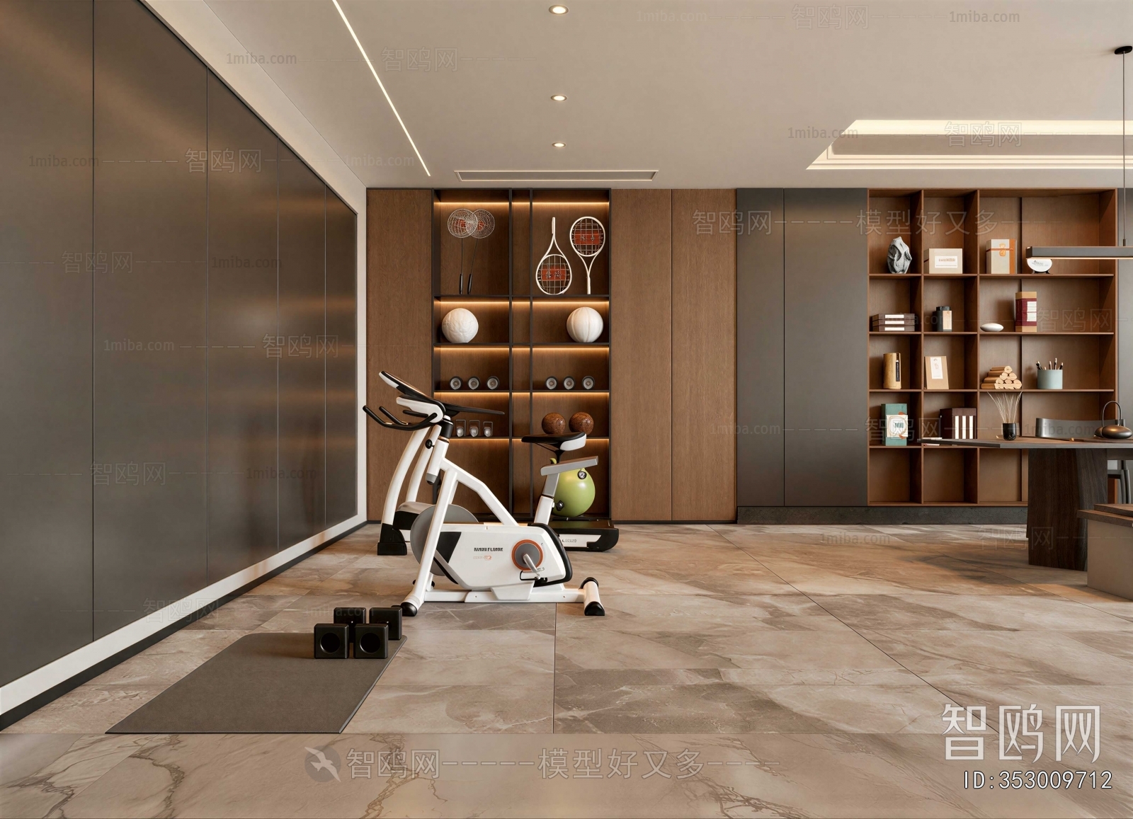 Modern Home Fitness Room