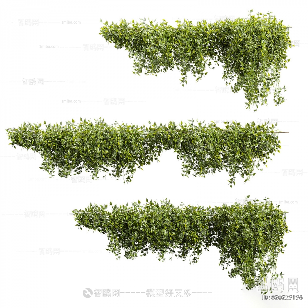 Modern Vine