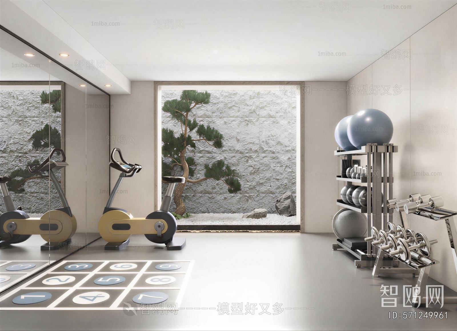Modern Home Fitness Room