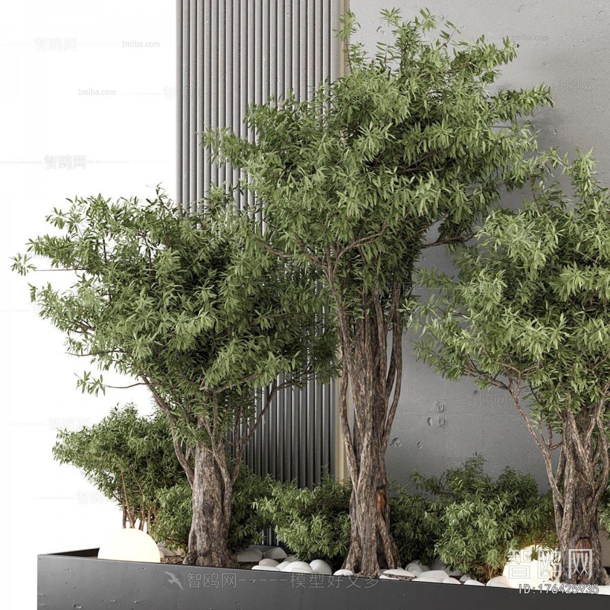 Modern Plant Landscaping