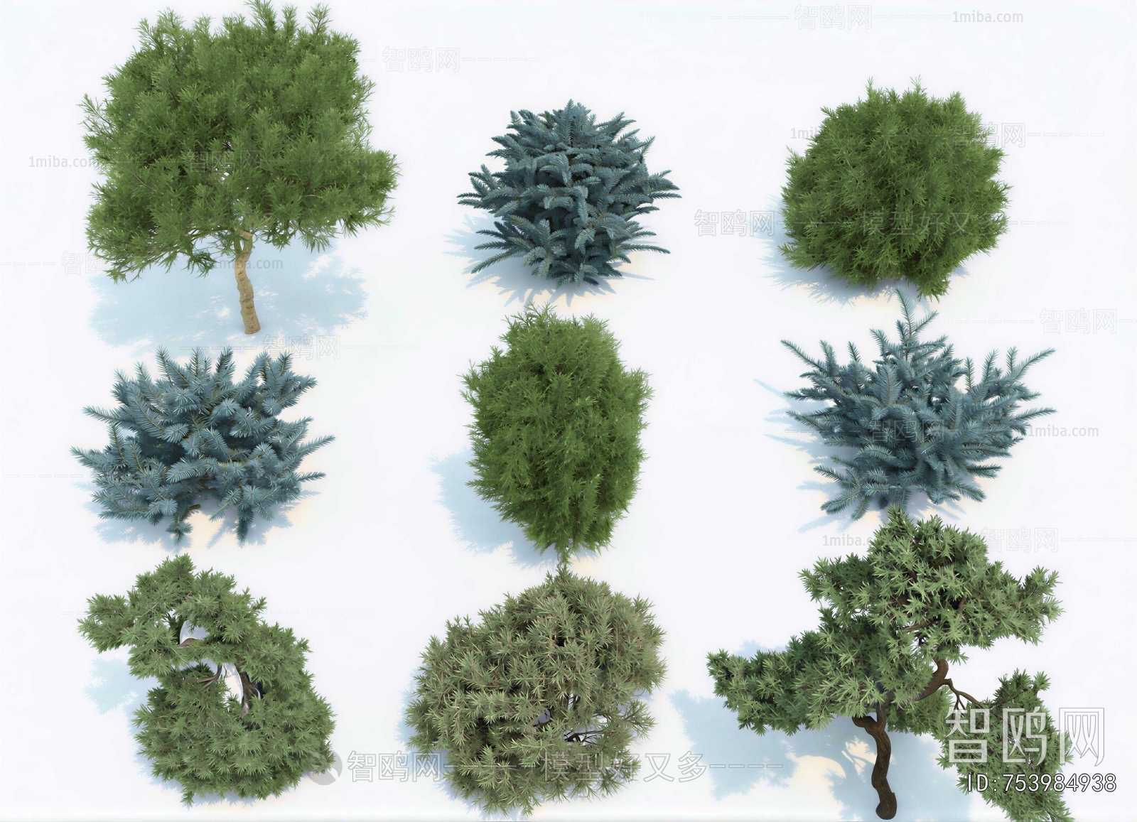 Modern Tree