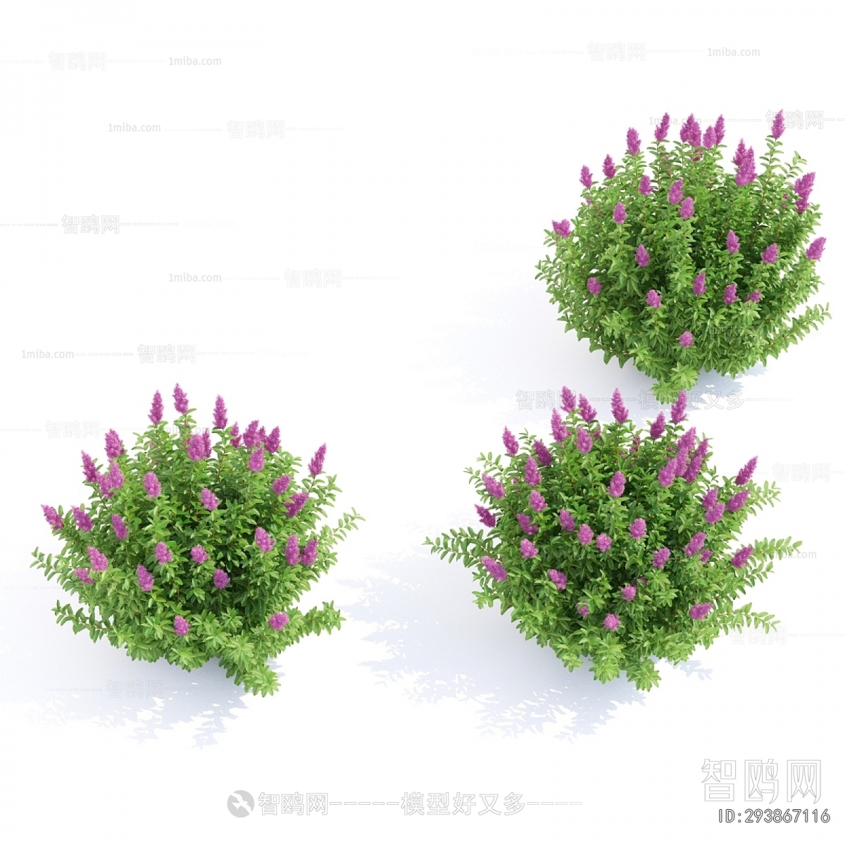 Modern Flowers And Grass