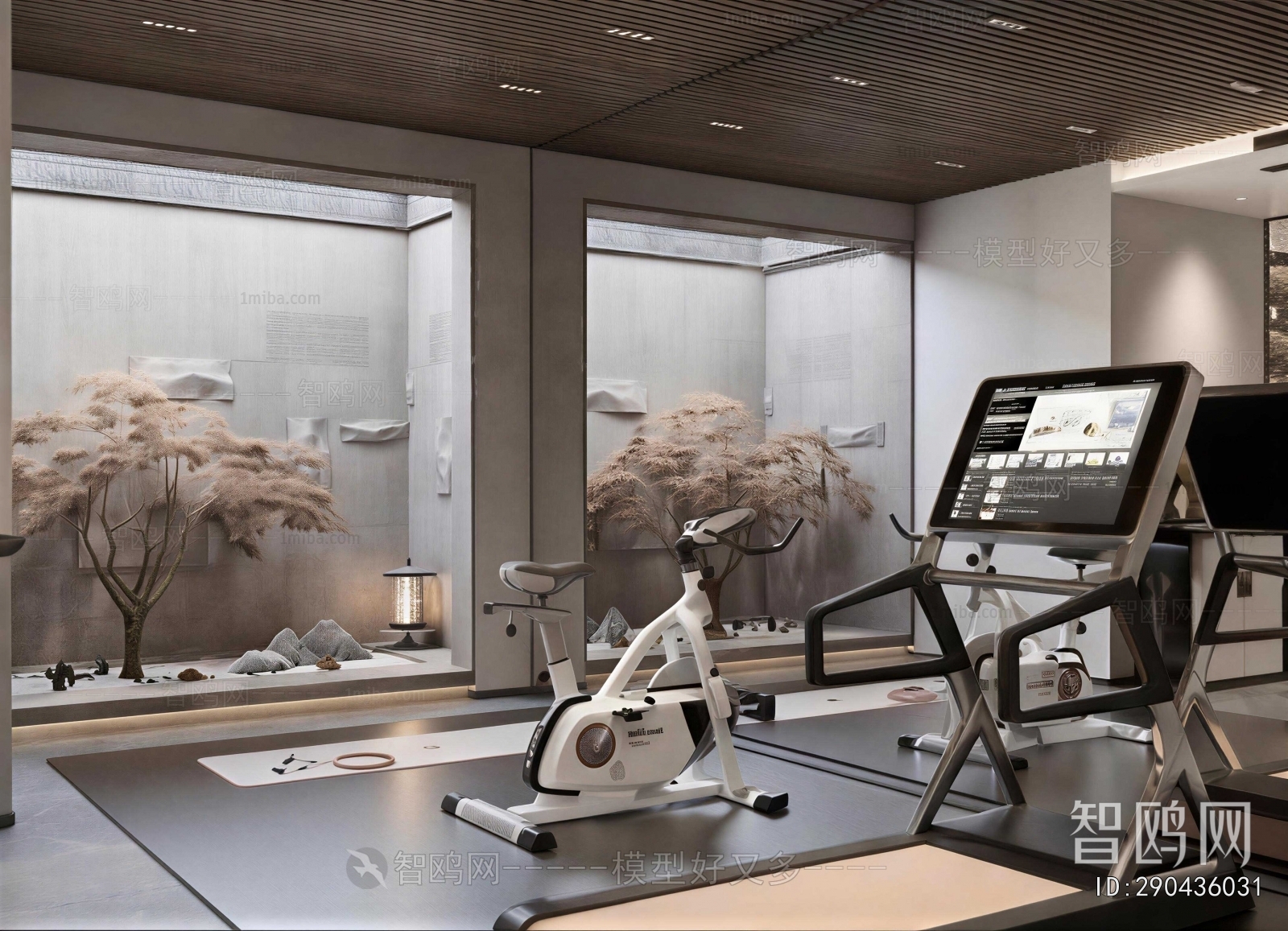 Modern Home Fitness Room