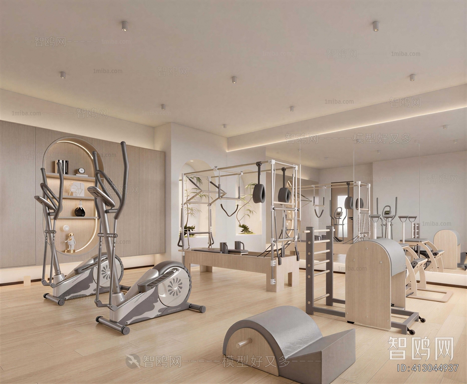 Modern Home Fitness Room