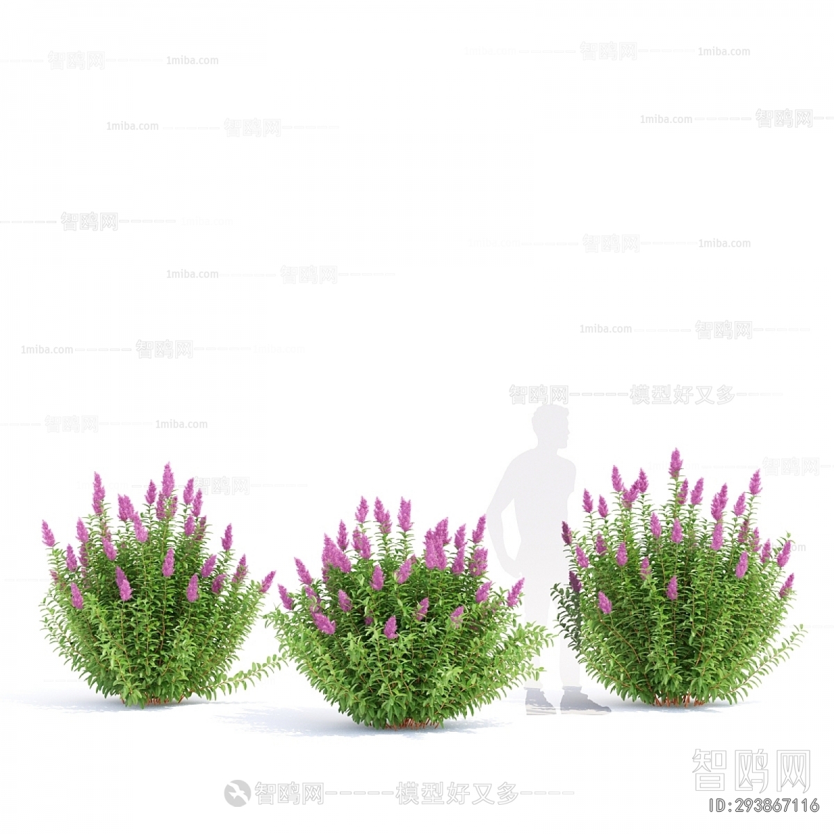 Modern Flowers And Grass