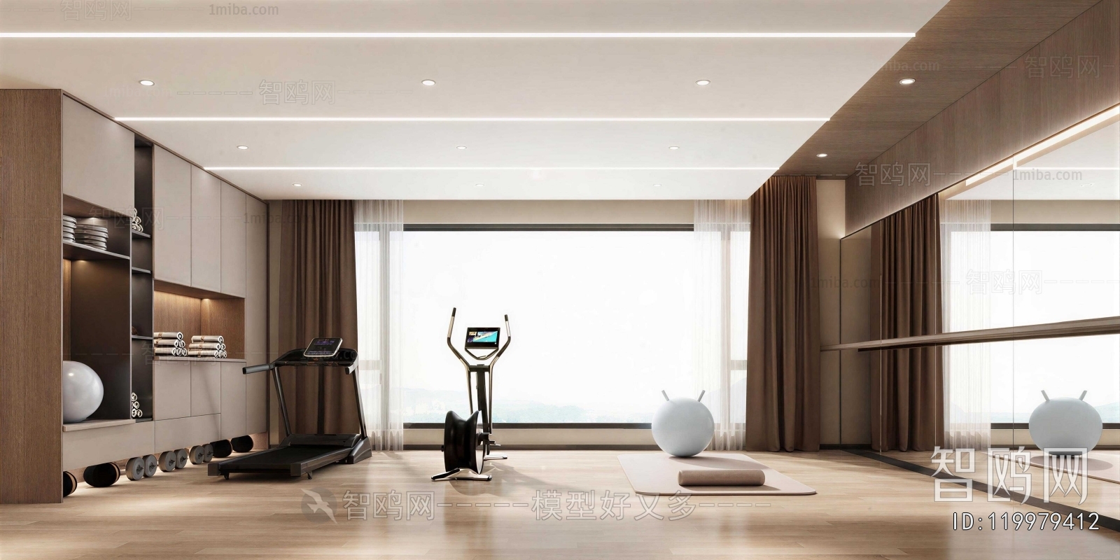 Modern Home Fitness Room