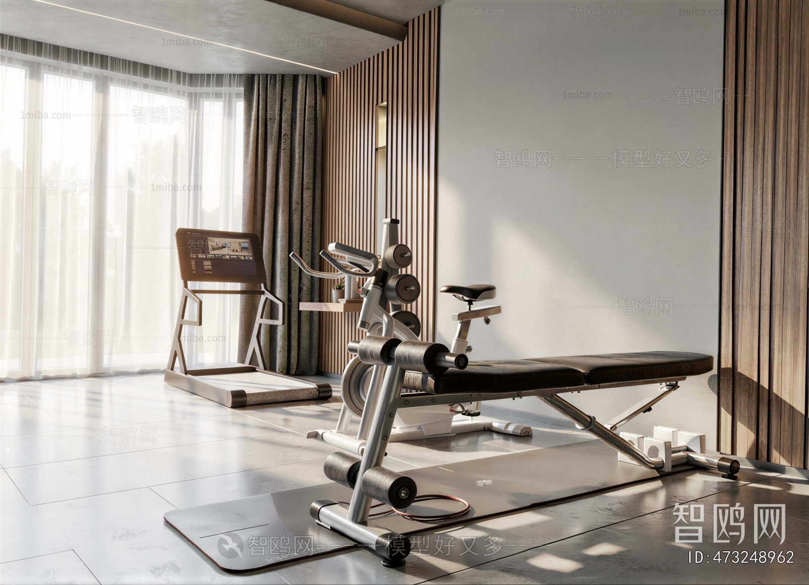 Modern Home Fitness Room