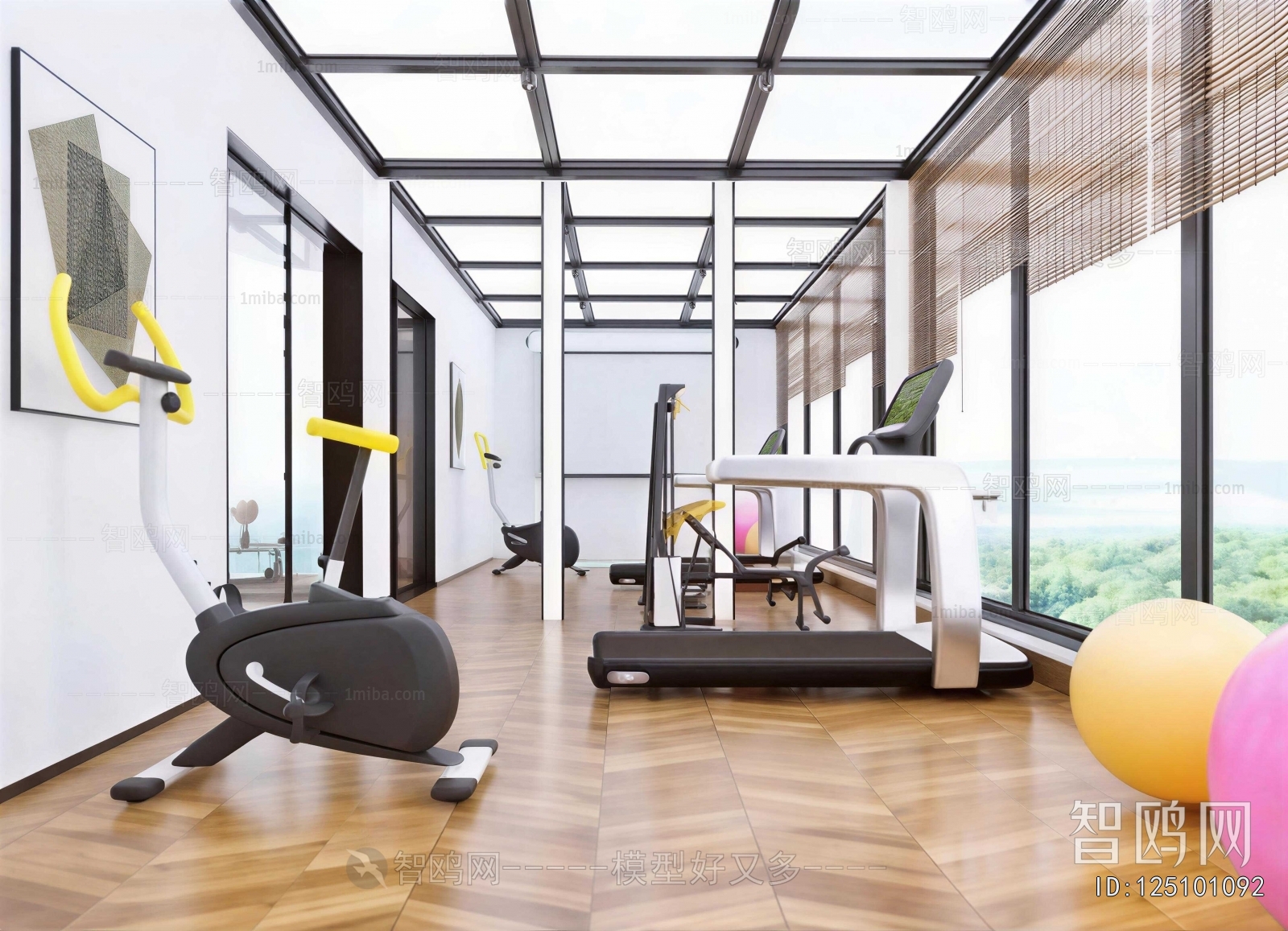 Modern Home Fitness Room