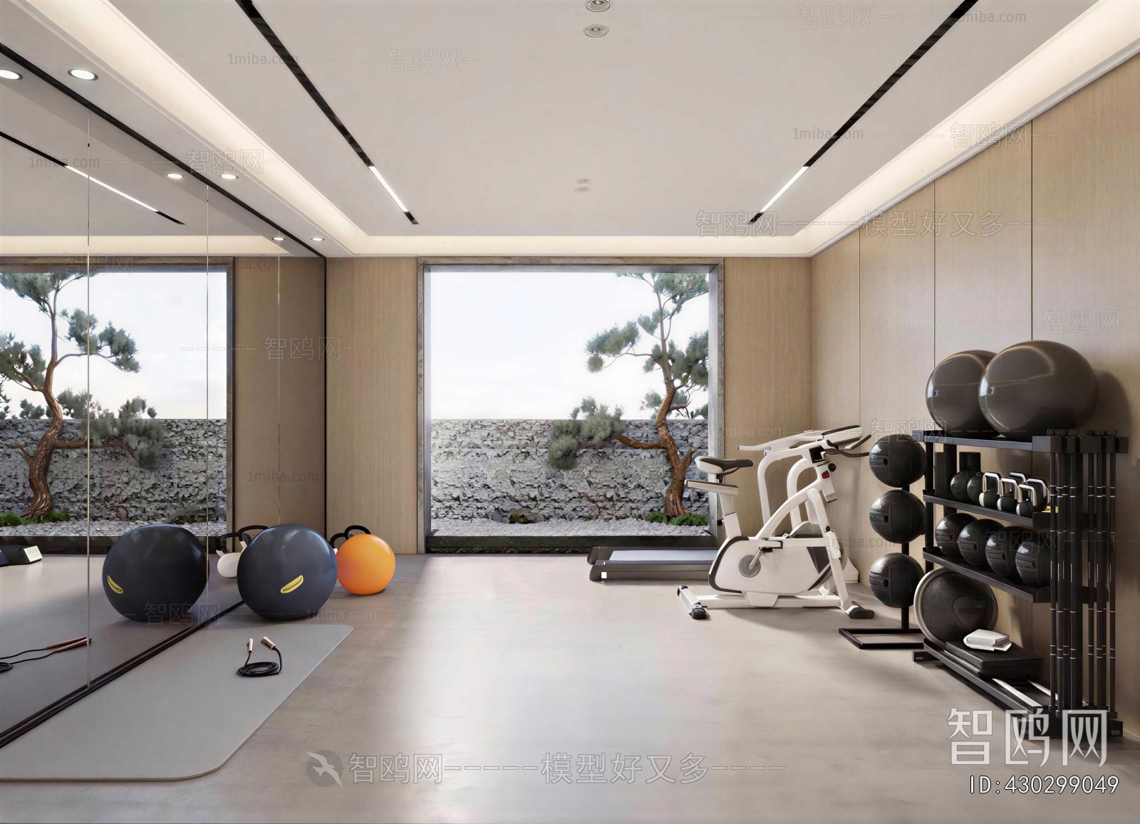 Modern Home Fitness Room