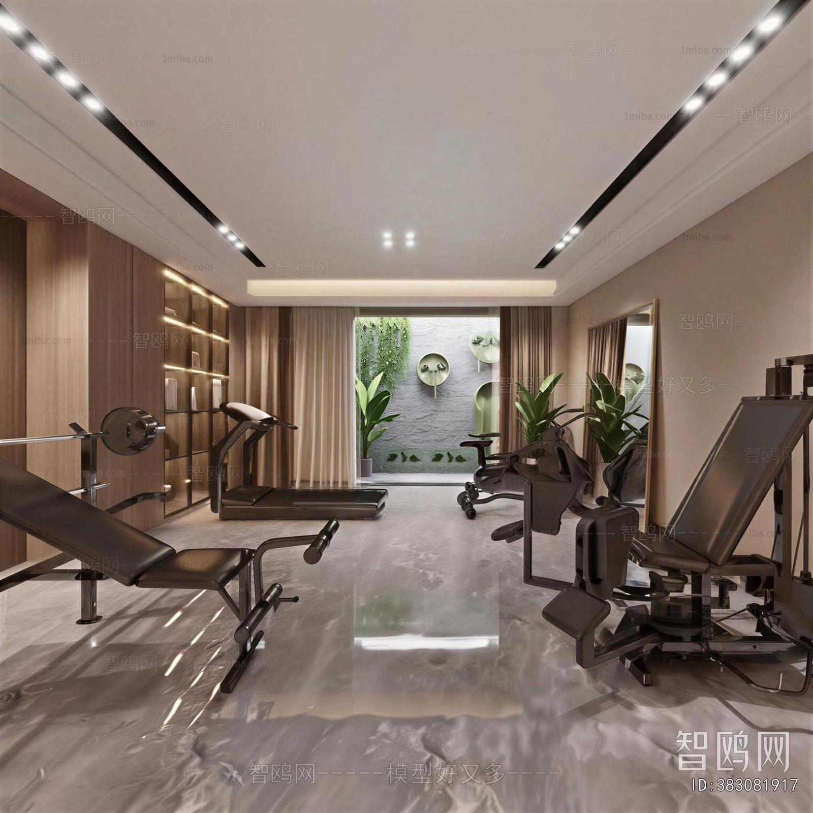 Modern Home Fitness Room