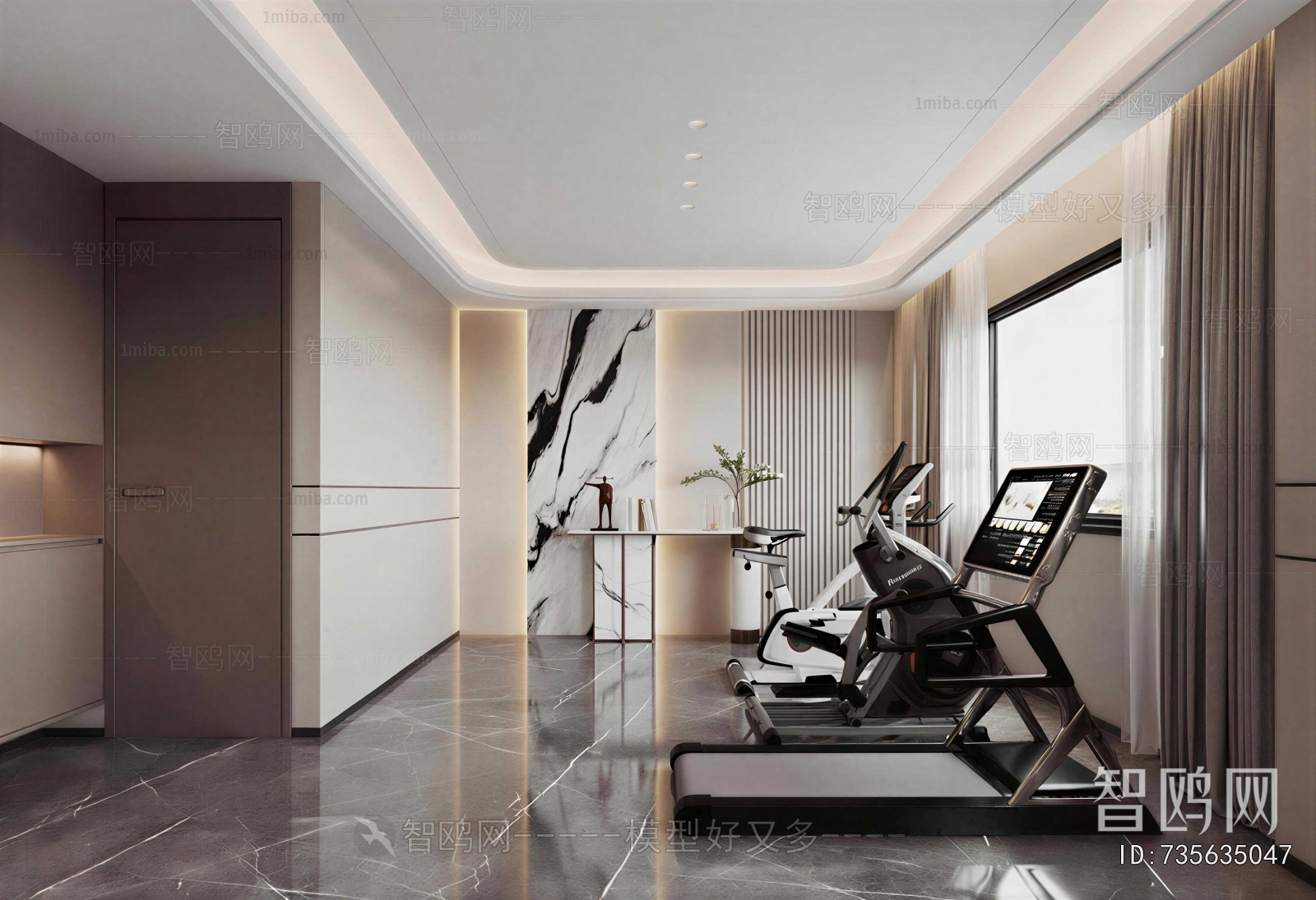 Modern Home Fitness Room