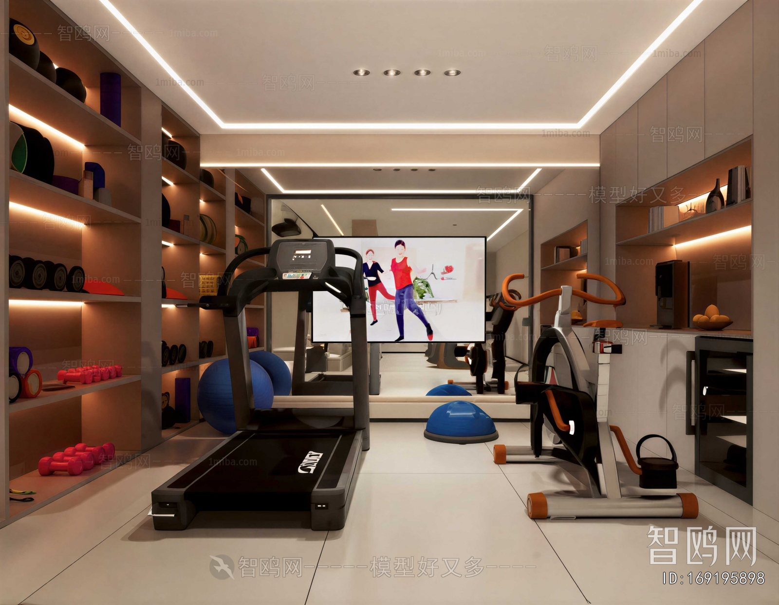 Modern Home Fitness Room