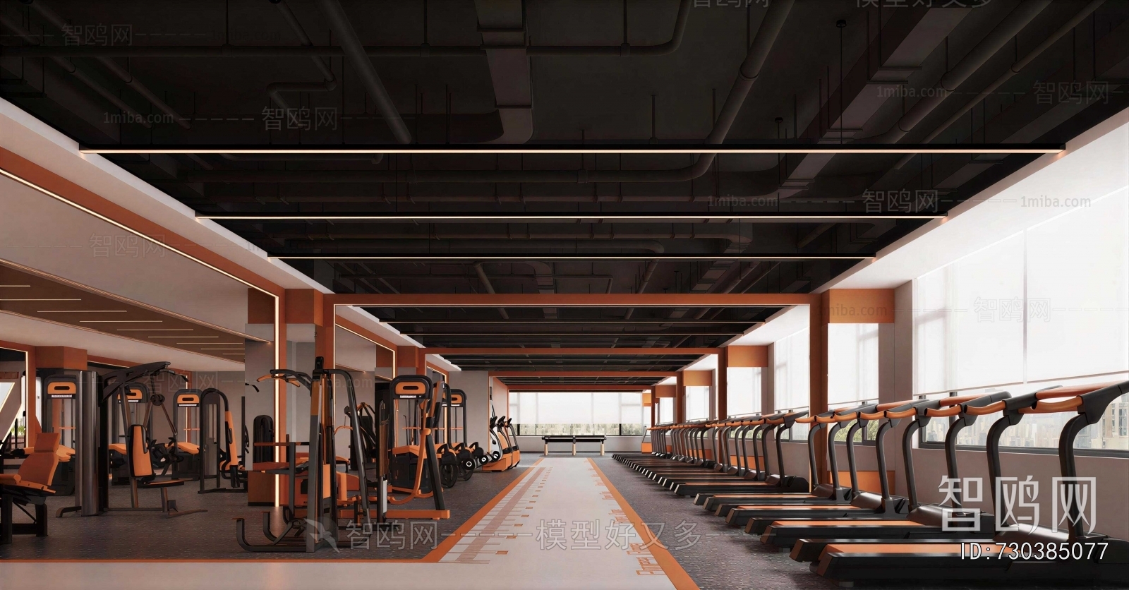 Modern Gym