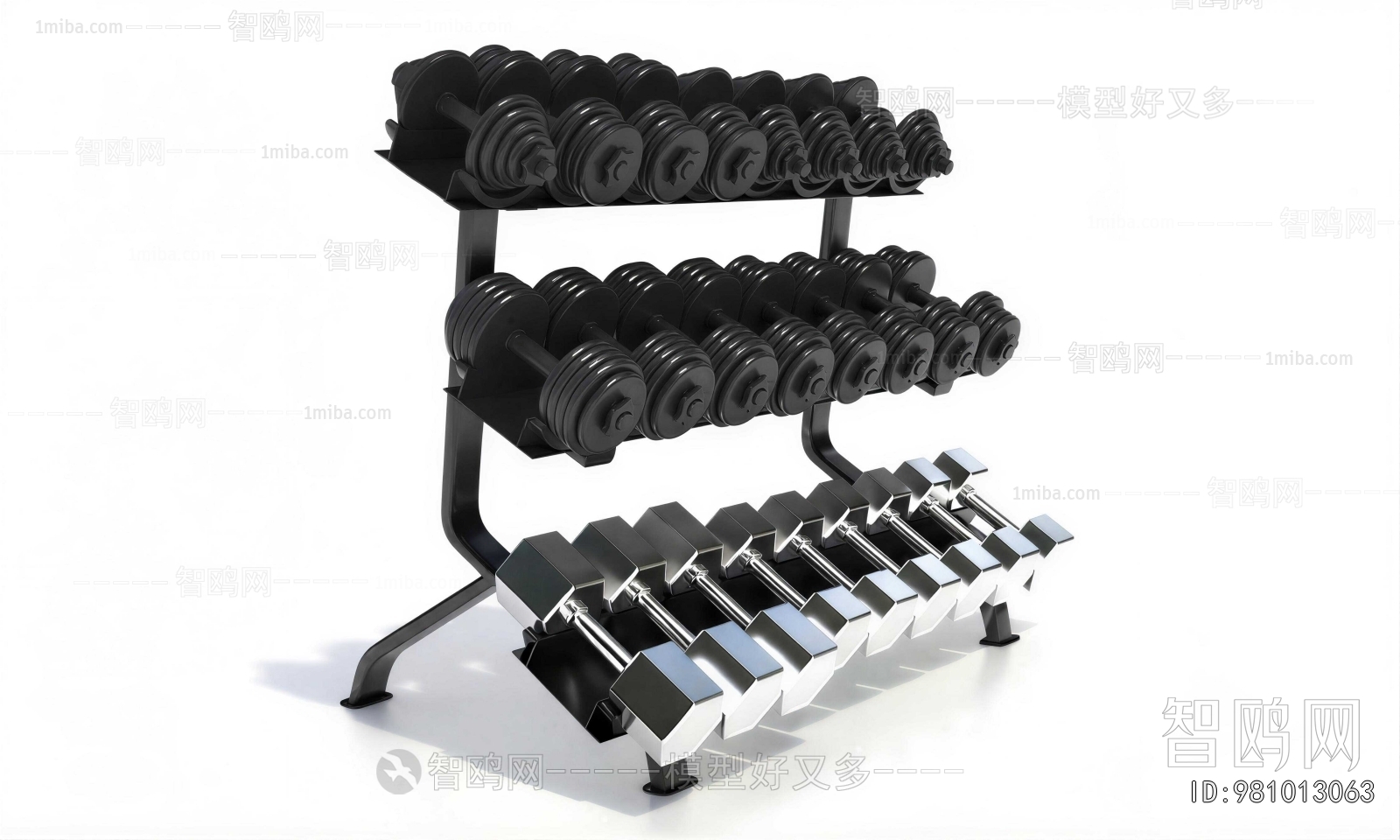 Modern Fitness Equipment