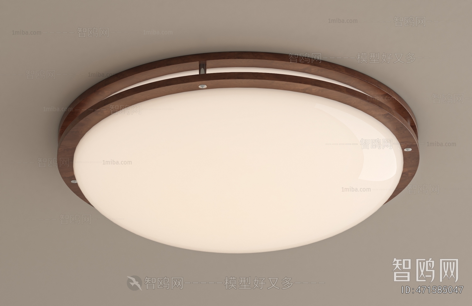 Modern Ceiling Ceiling Lamp