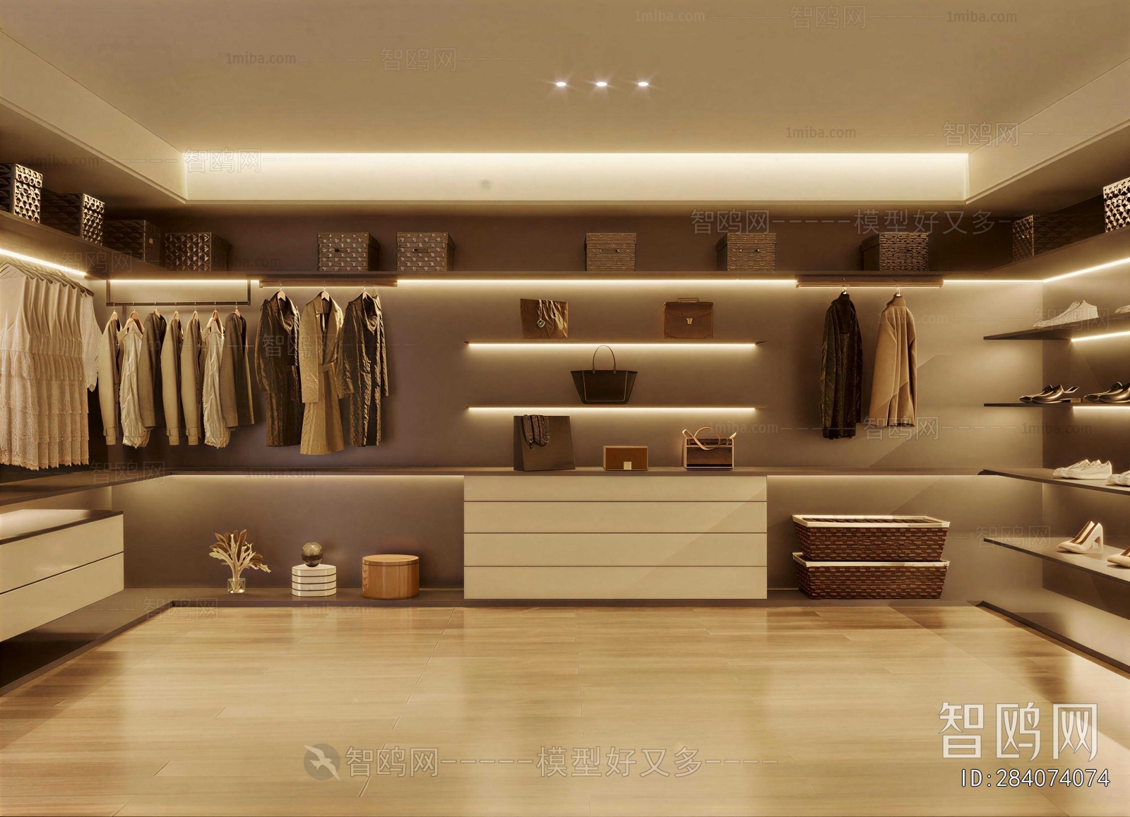 Modern Clothes Storage Area