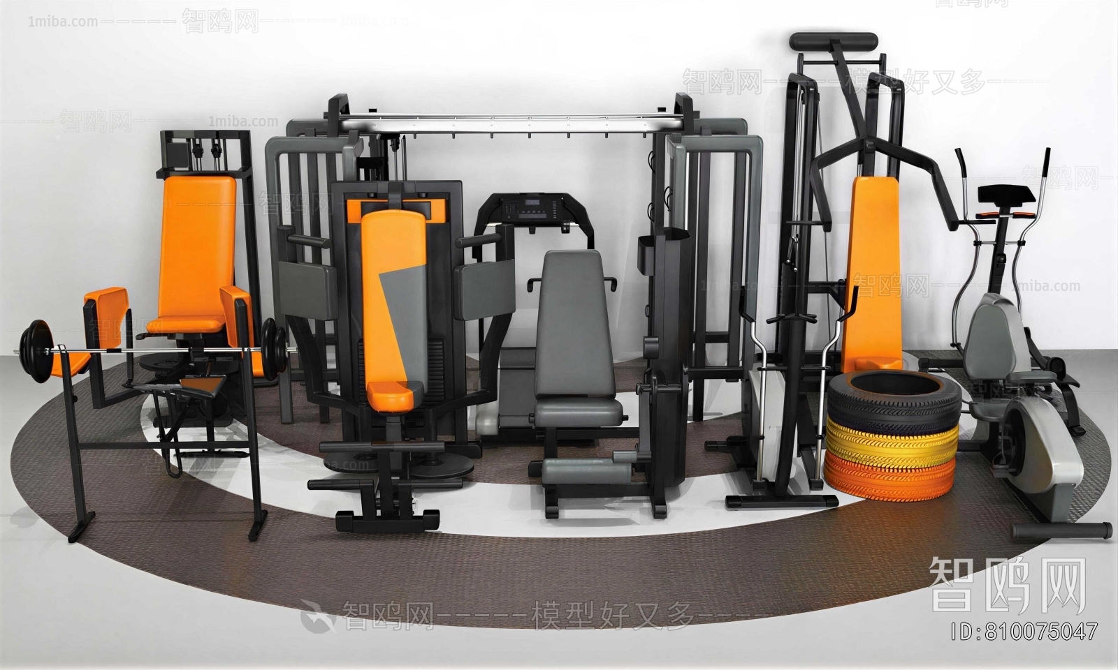 Modern Fitness Equipment