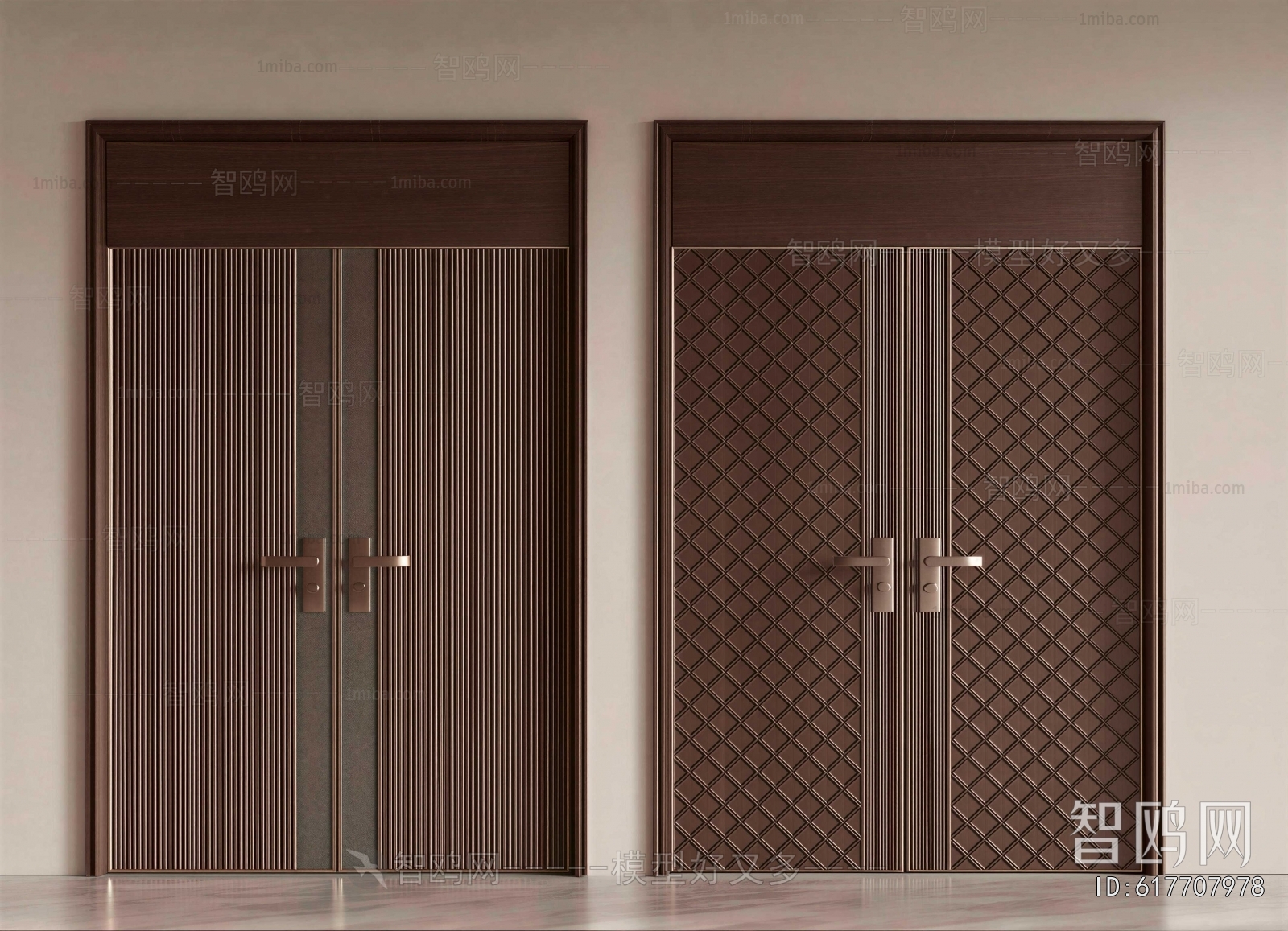 Modern Entrance Door