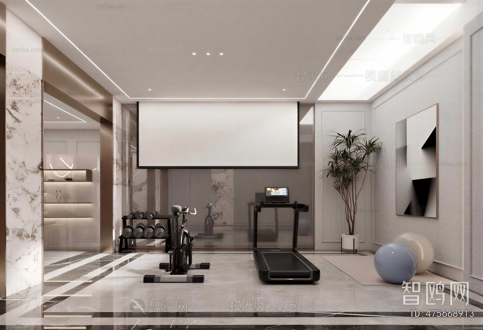 Modern Home Fitness Room