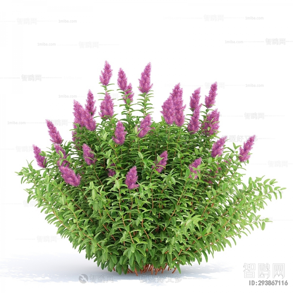 Modern Flowers And Grass