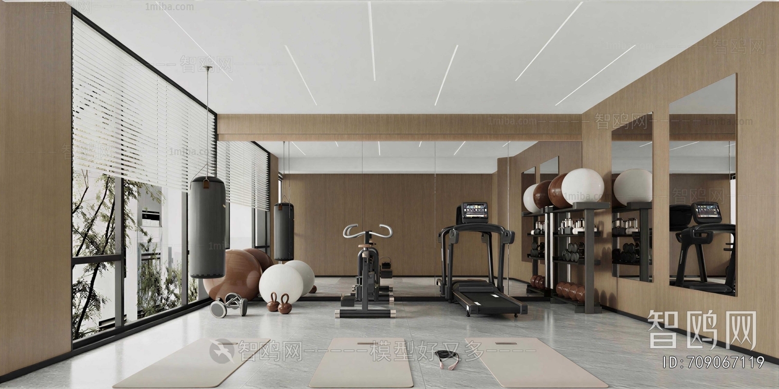 Modern Home Fitness Room