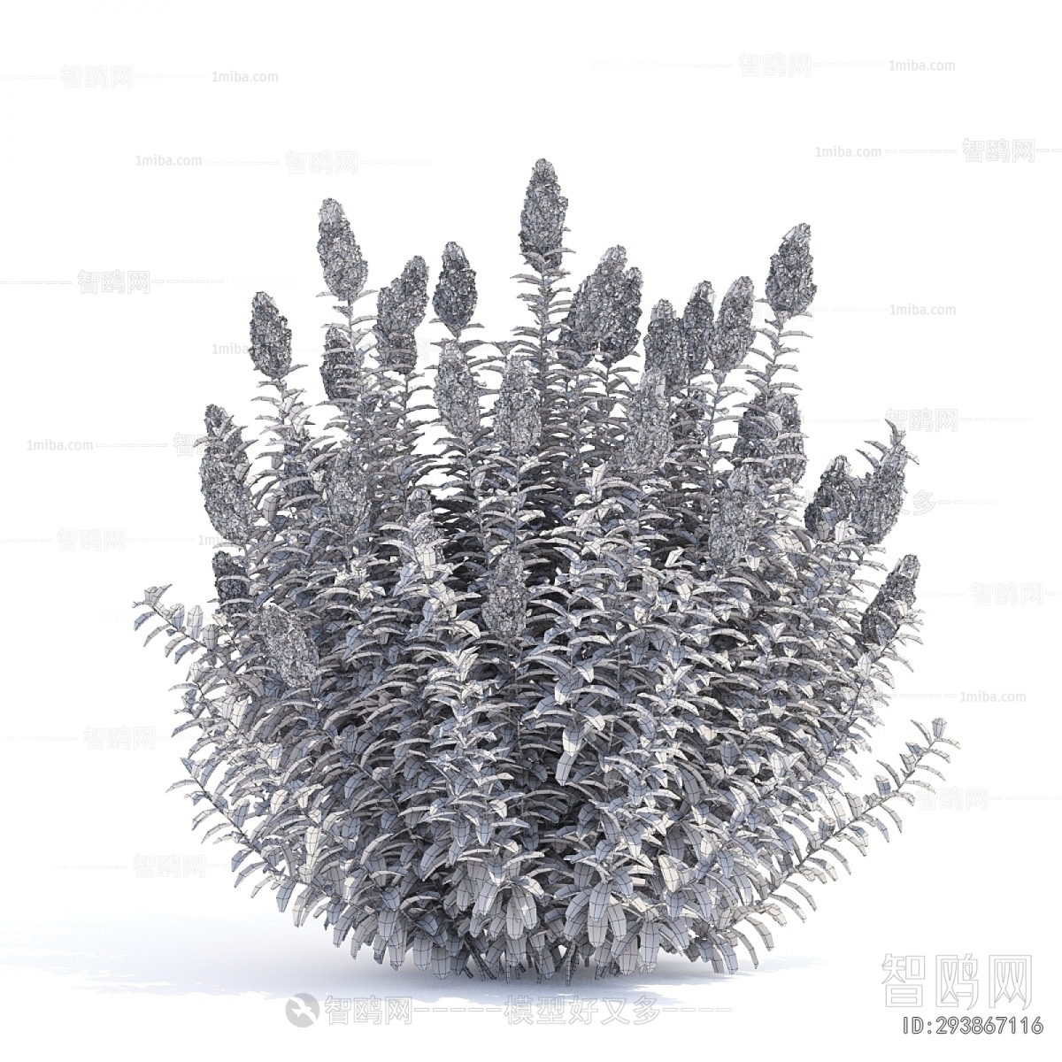 Modern Flowers And Grass