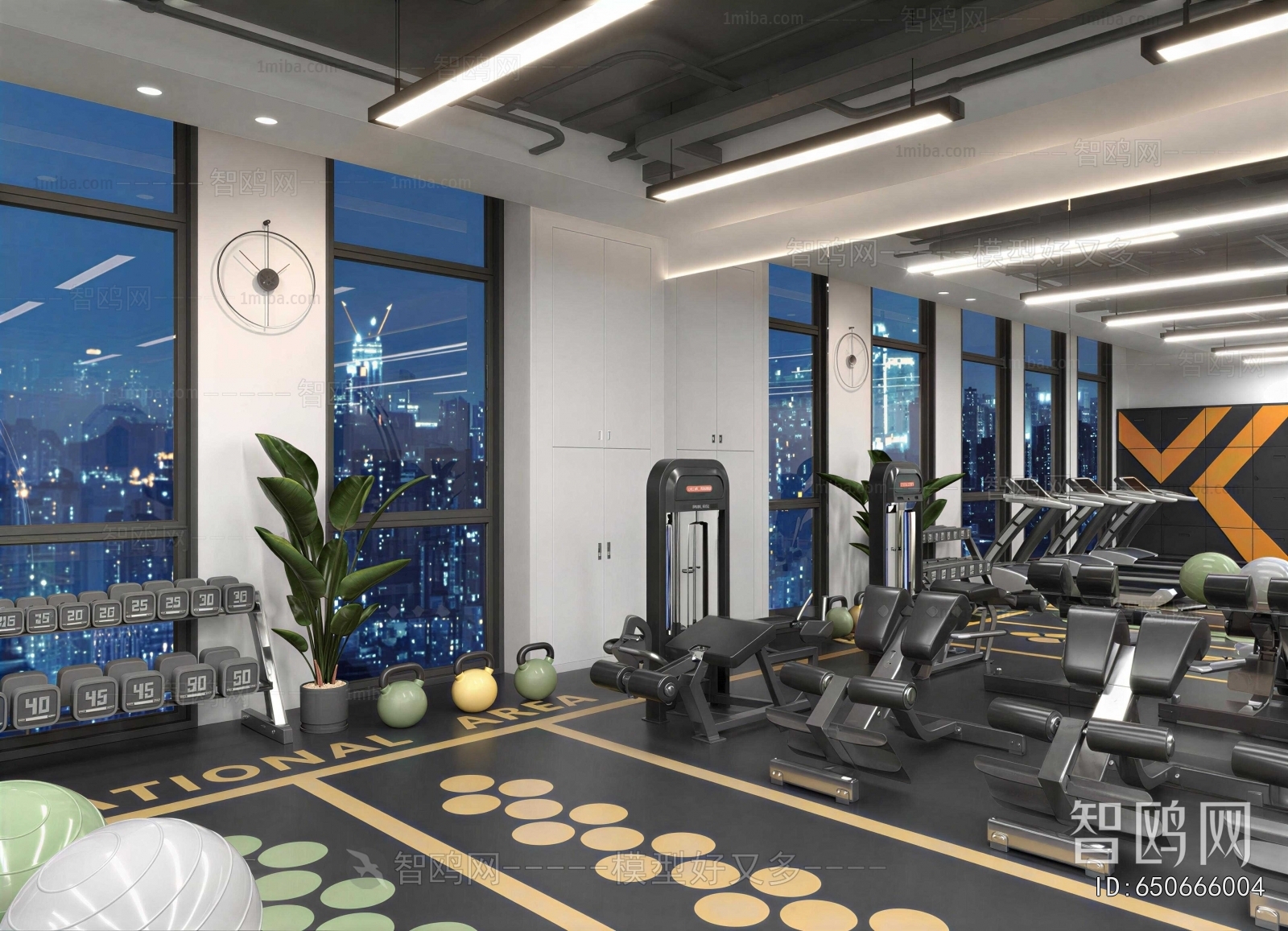 Modern Gym