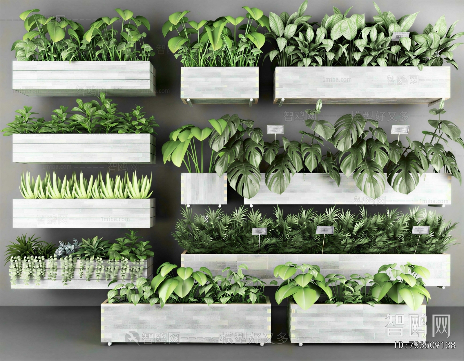 Modern Flower Bed, Flower Bowl, Flower Box