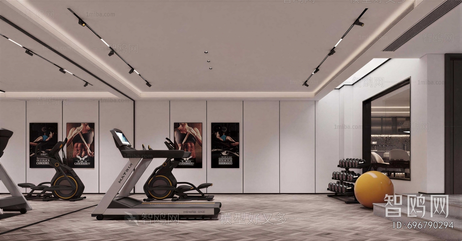 Modern Home Fitness Room
