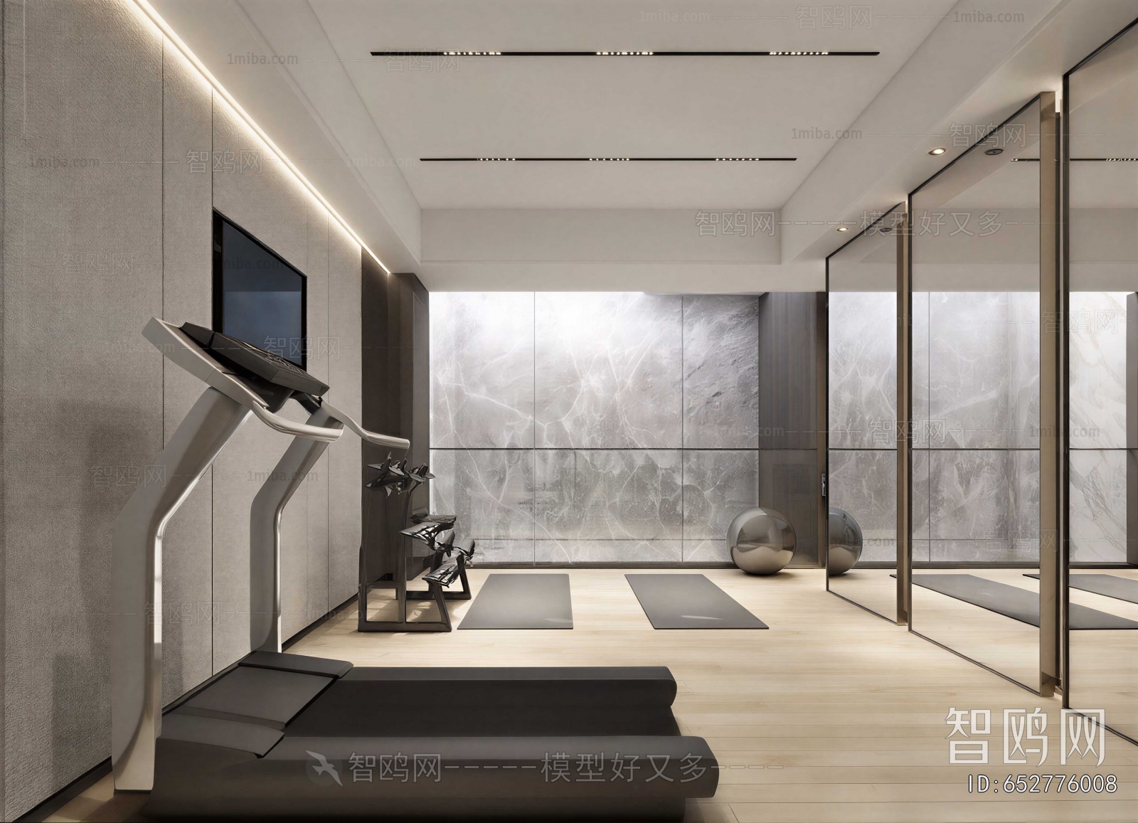 Modern Home Fitness Room