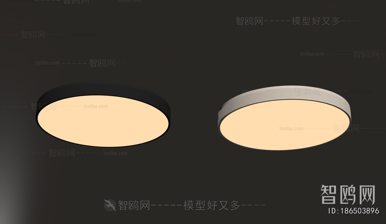 Modern Ceiling Ceiling Lamp