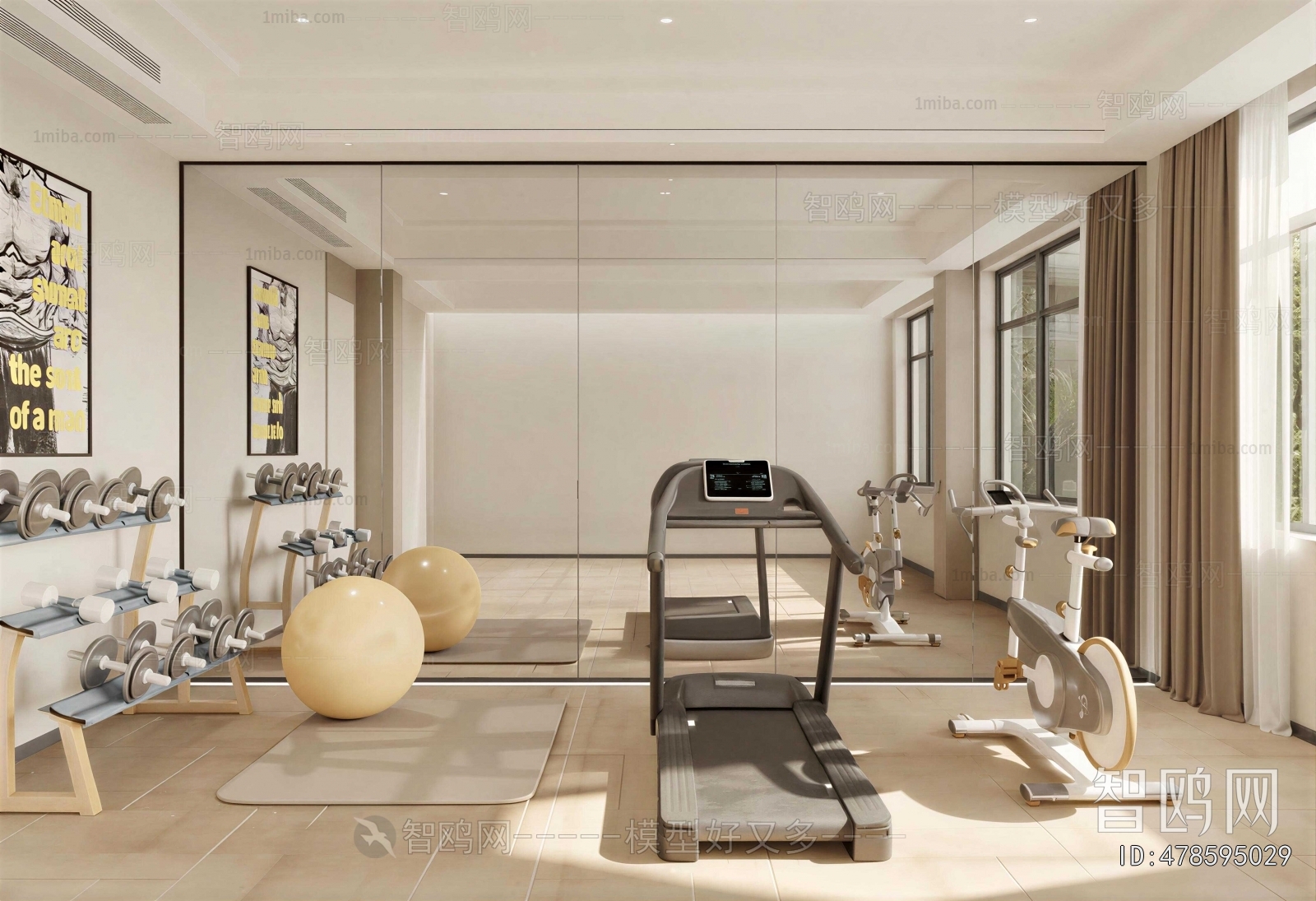 Modern Home Fitness Room