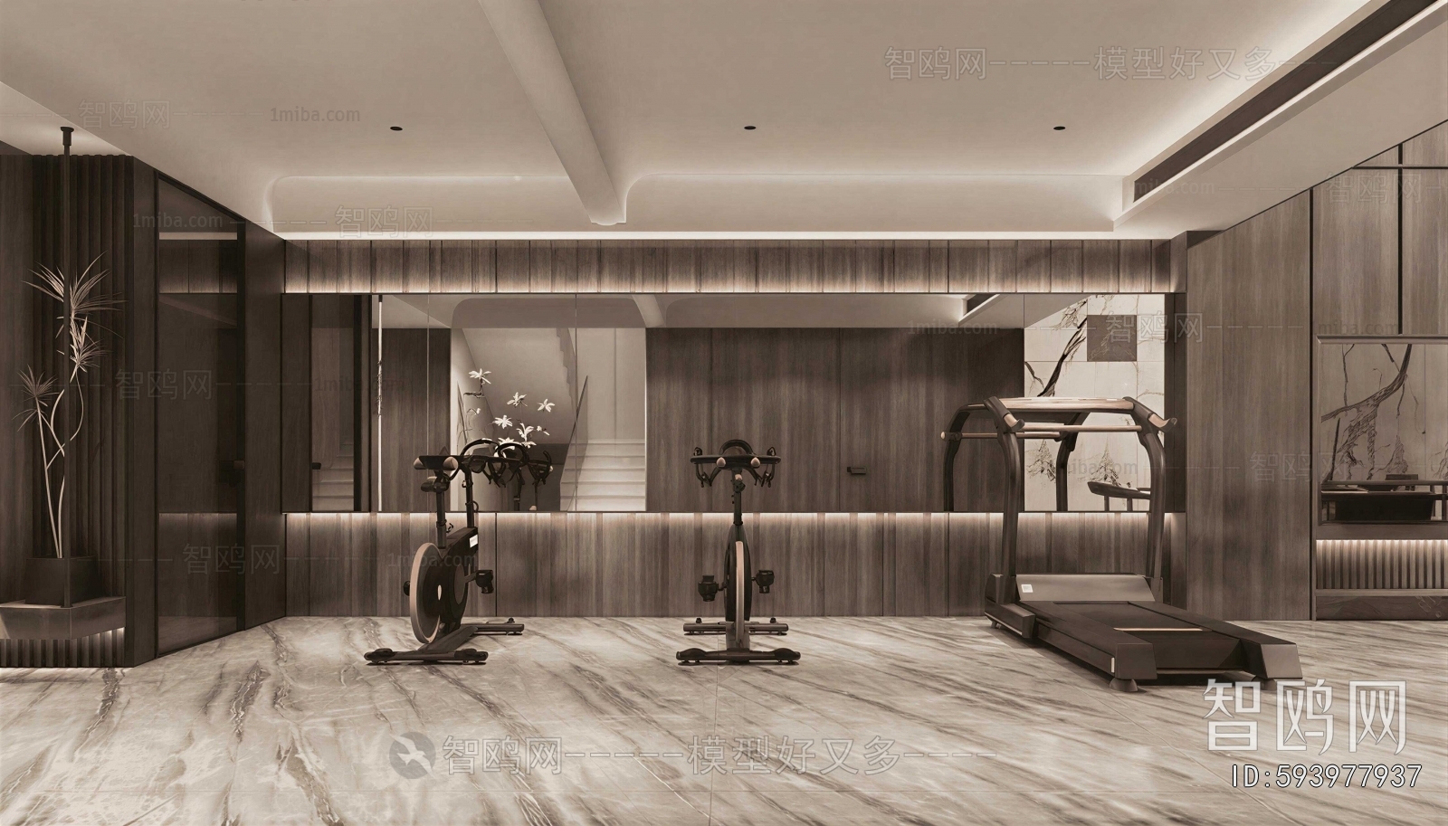 Modern Home Fitness Room