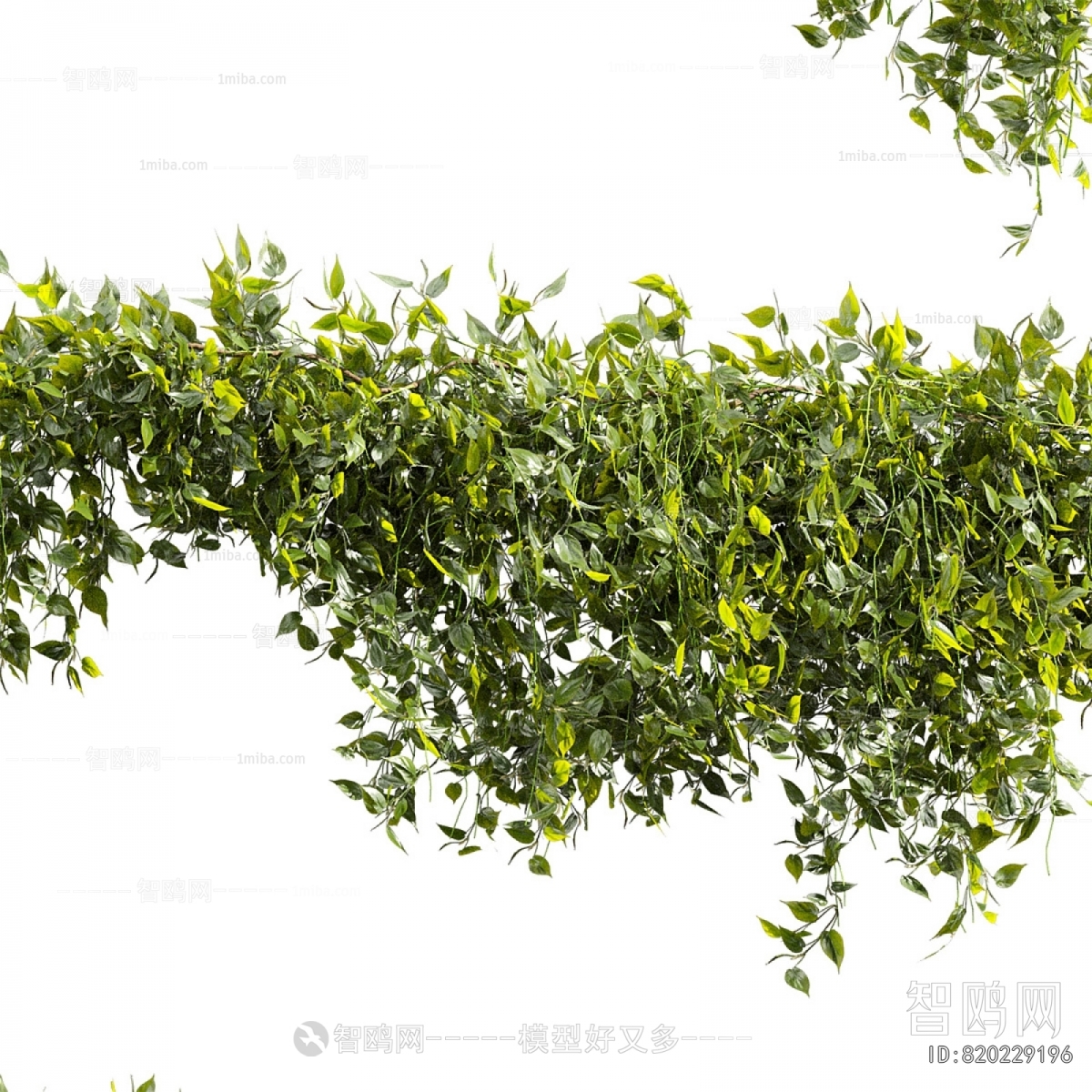 Modern Vine