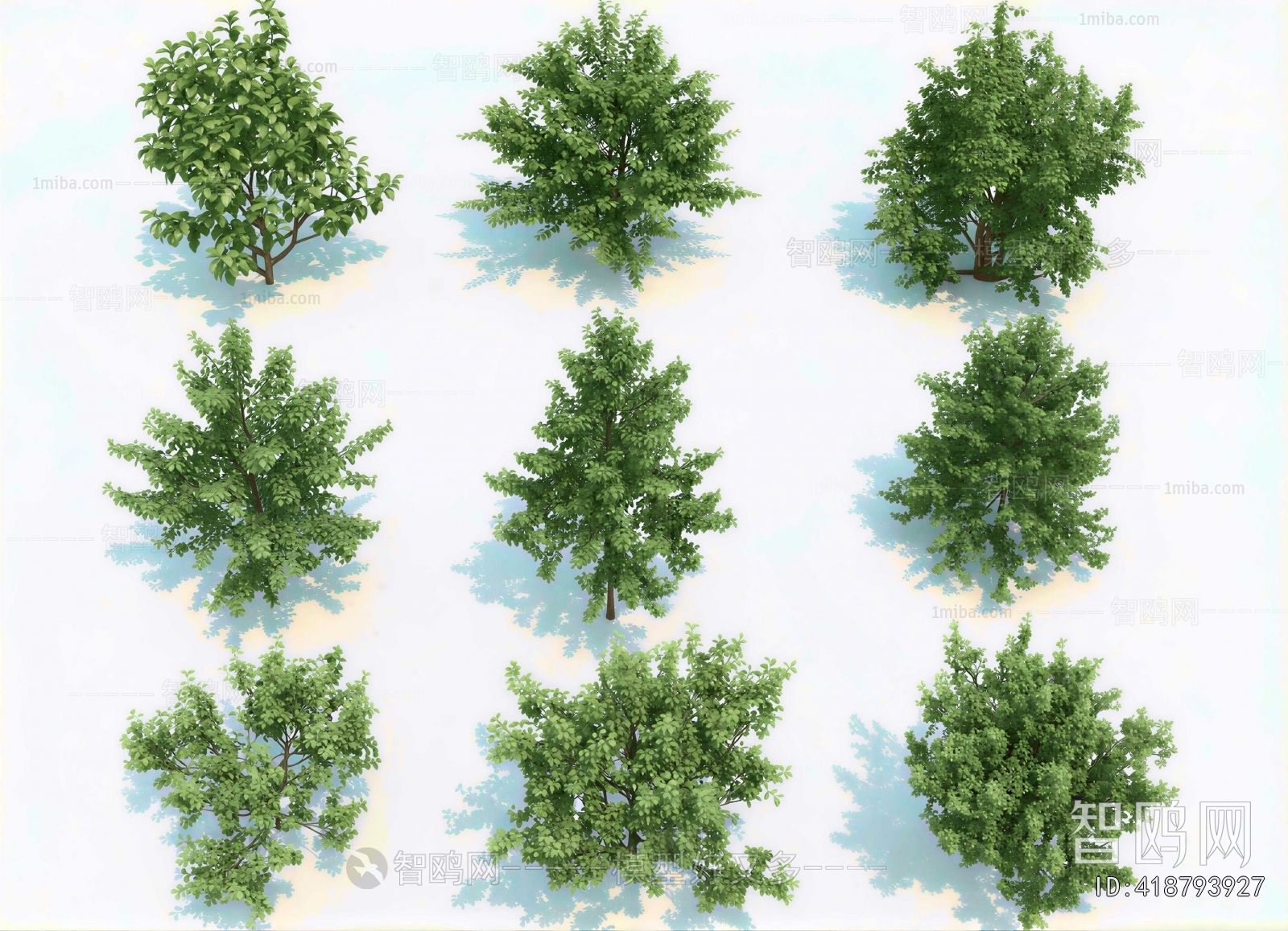 Modern Shrubbery