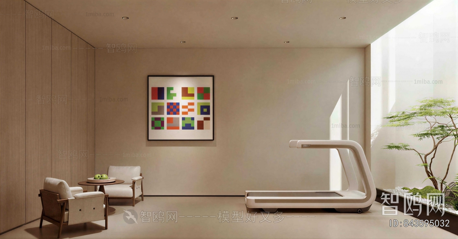 Modern Home Fitness Room