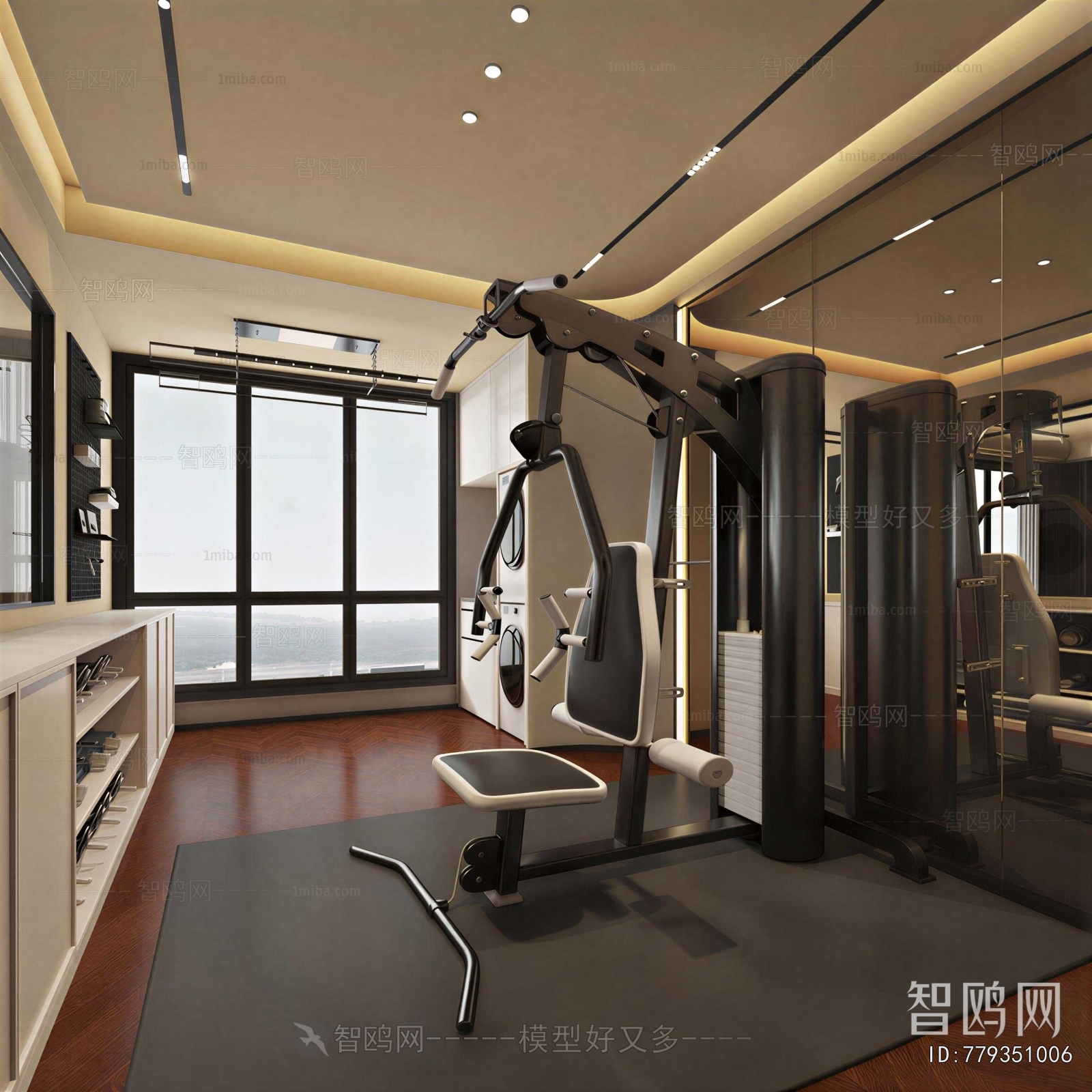 Modern Home Fitness Room