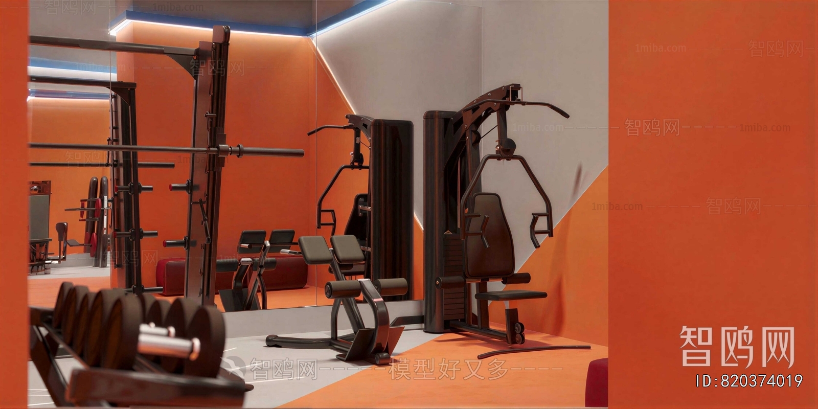 Modern Gym