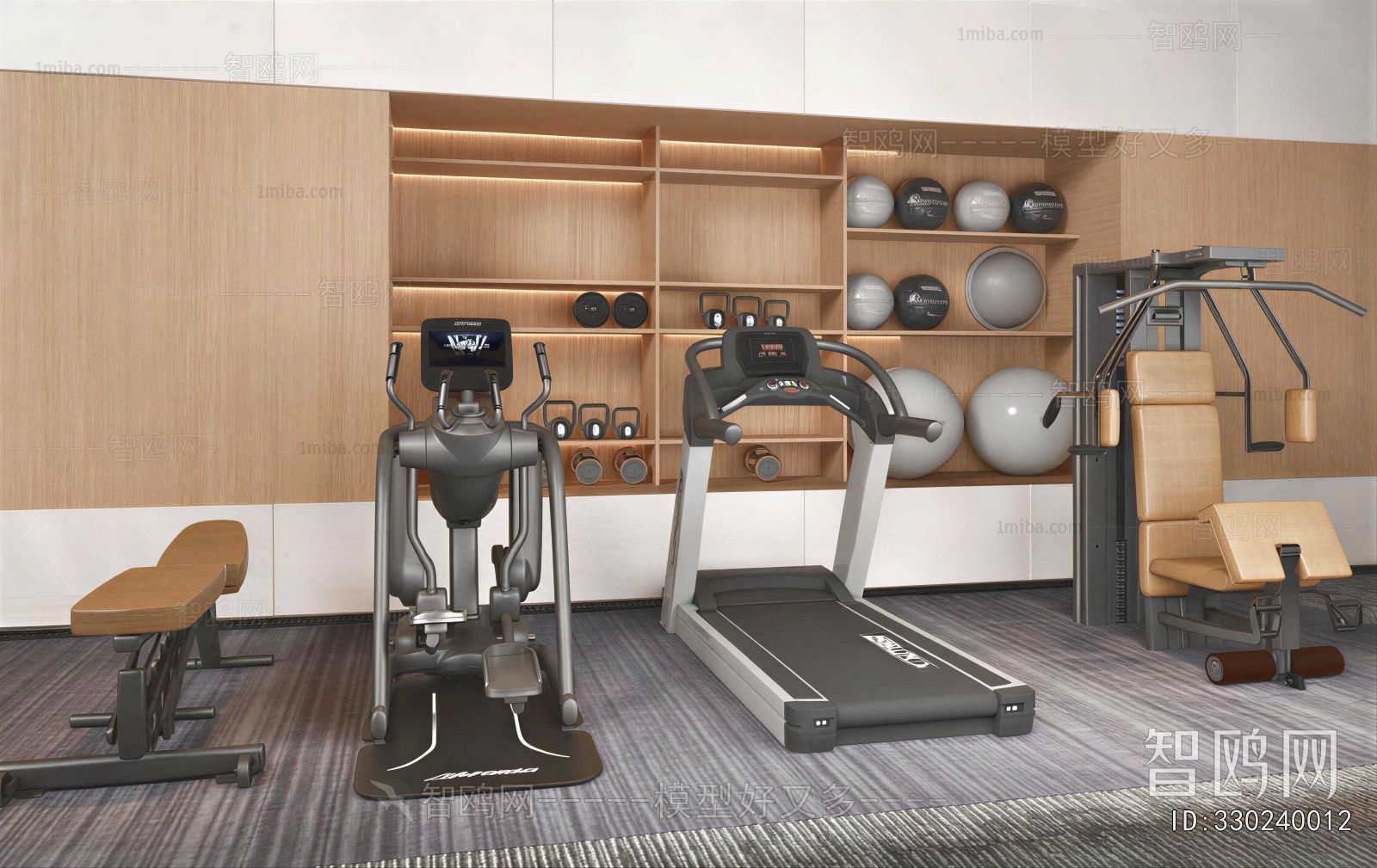 Modern Home Fitness Room