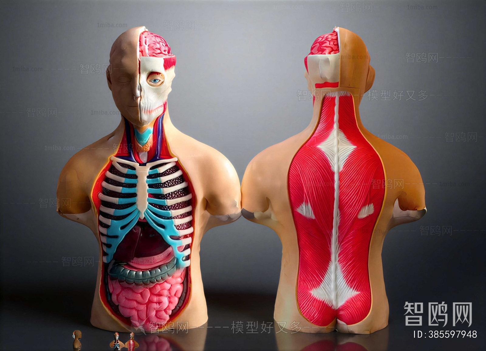 Modern Medical Equipment