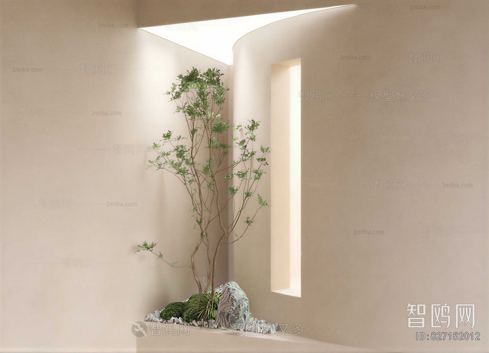 Modern Plant Landscaping