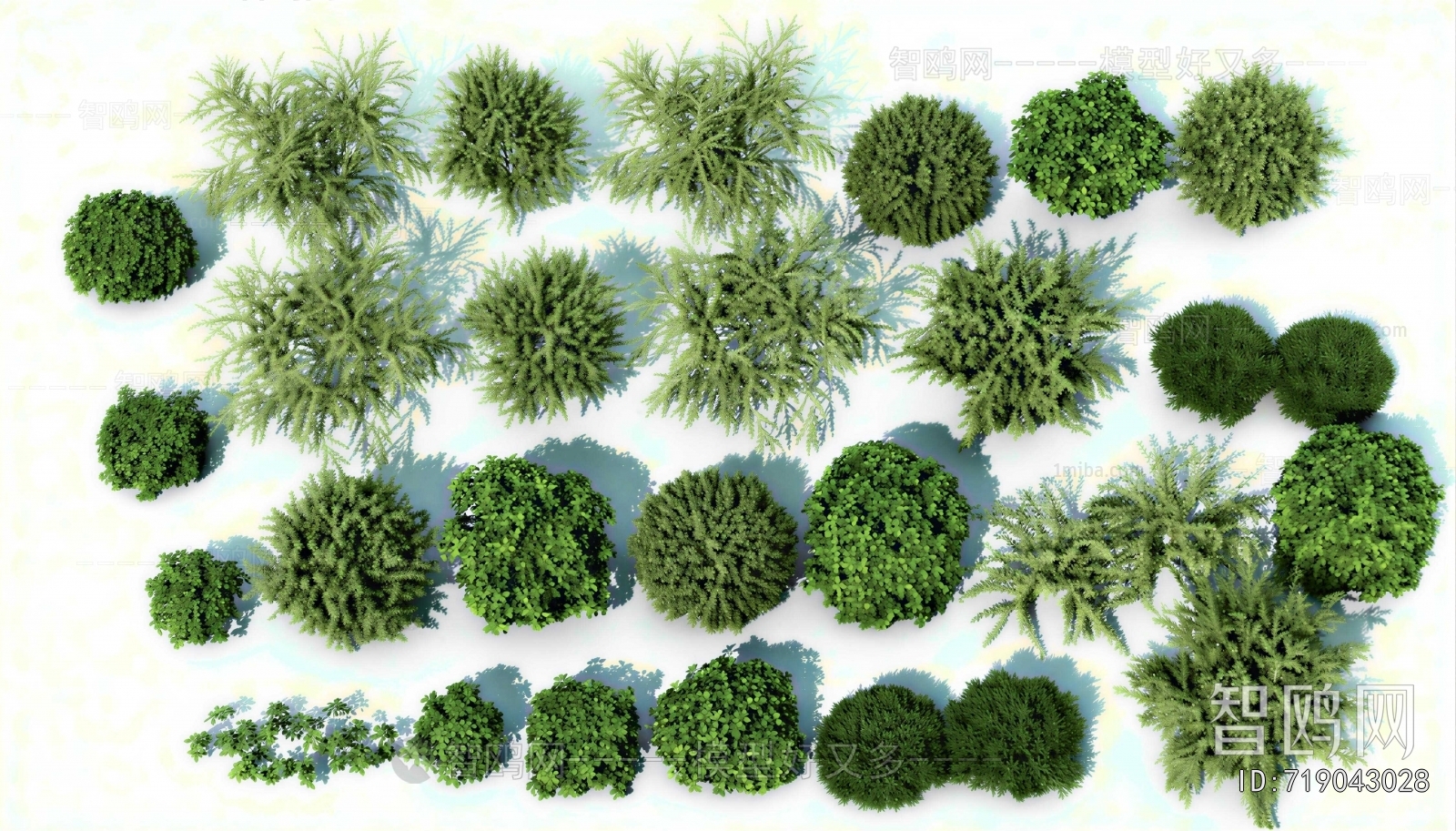 Modern Shrubbery